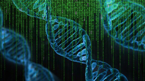 Optimization Using Genetic Algorithms : MATLAB Programming