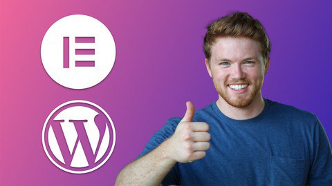 Learn Elementor & WordPress, for Startups & Performers