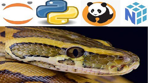 Python Bootcamp for Data Science 2022  Numpy Pandas & Seaborn